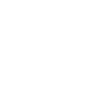 logo groupe Del Mar blanc