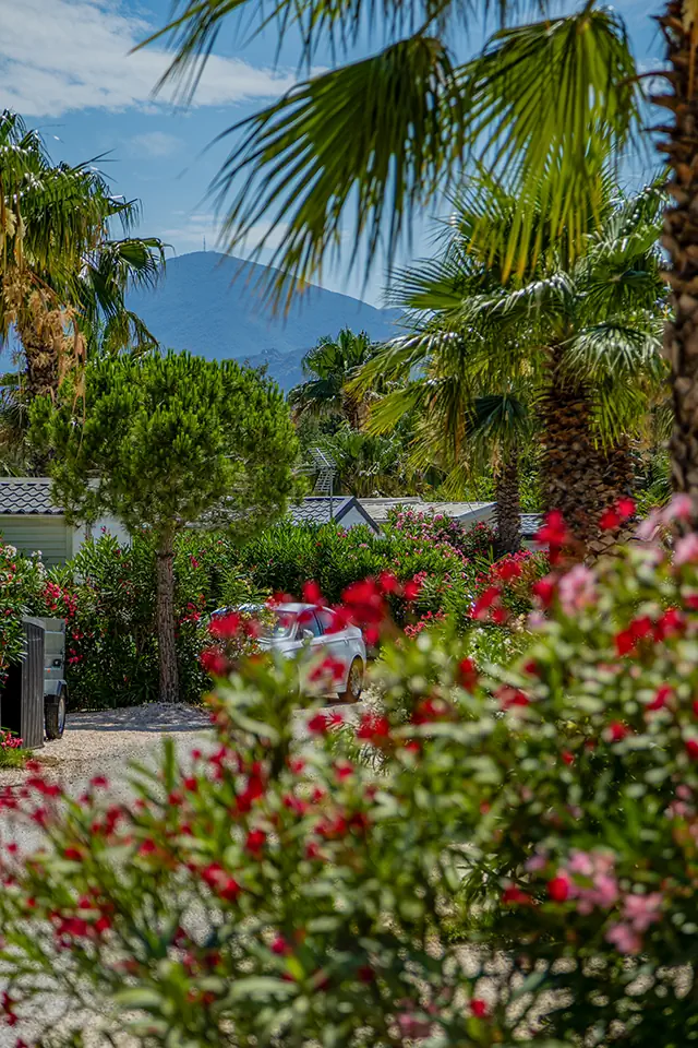 camping le clos du thym