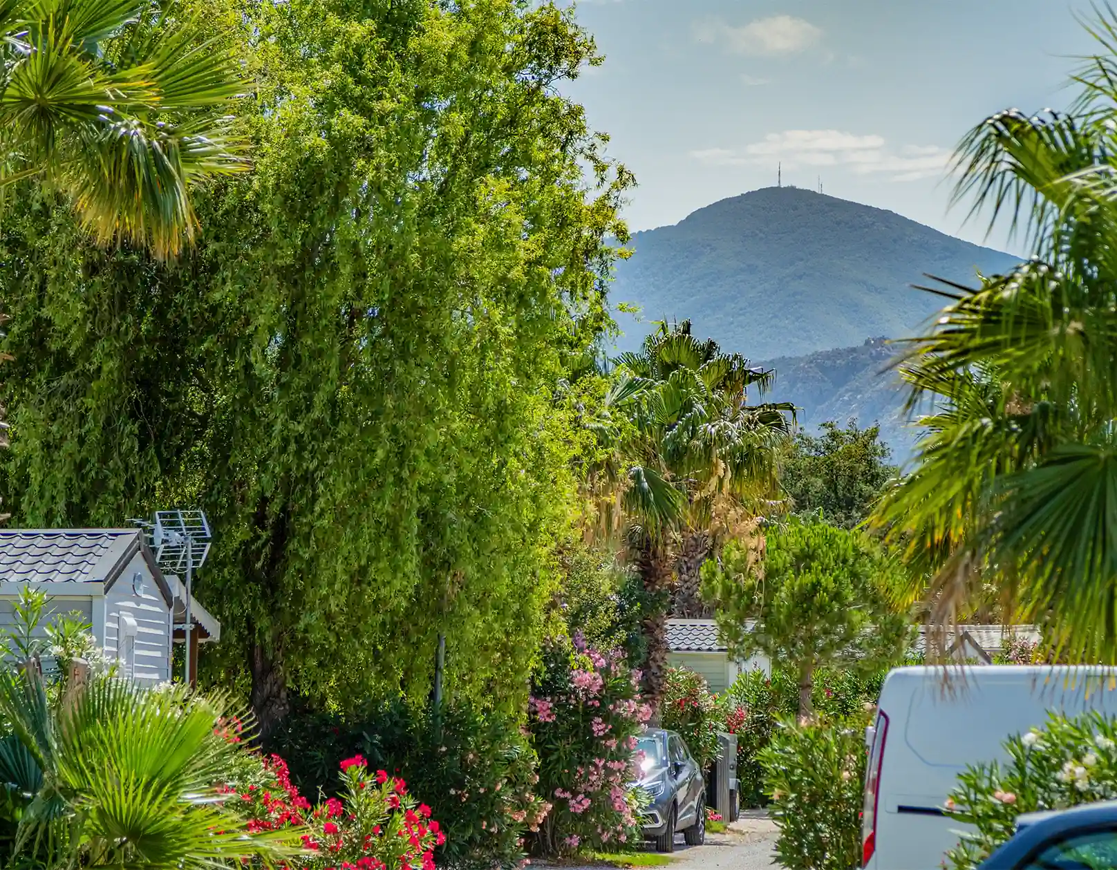 camping nature a proximite de la plage