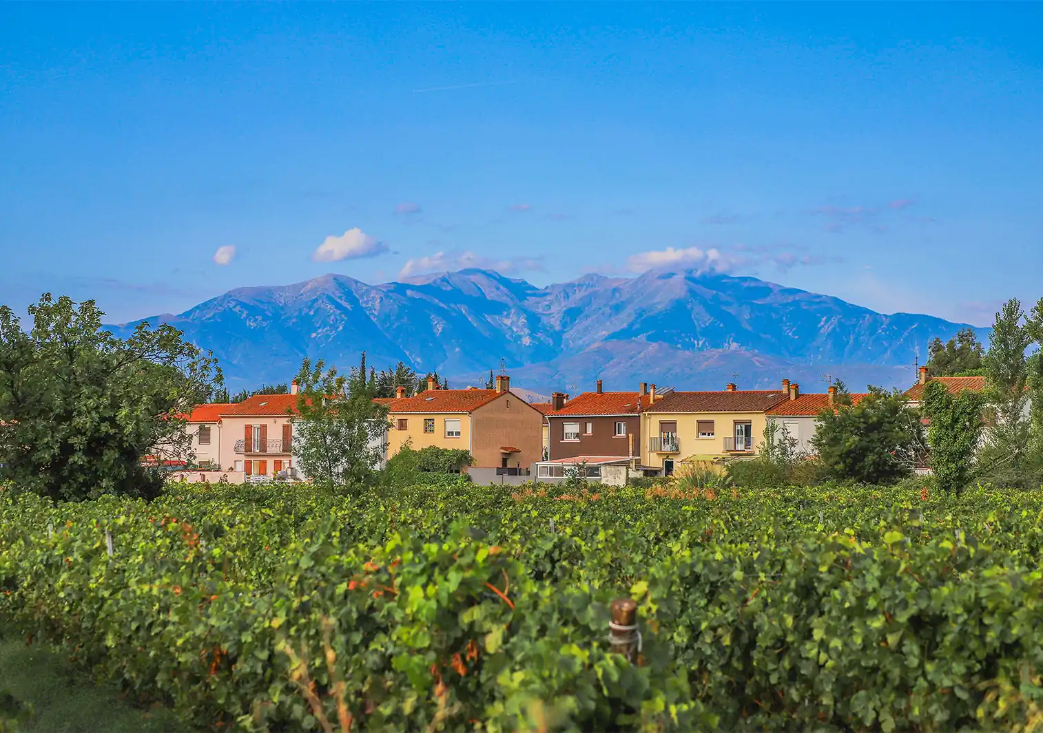 massif du canigou